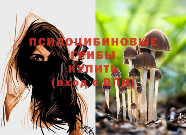 герыч Баксан